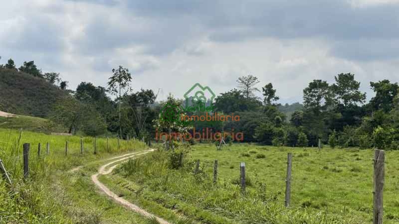 FINCA GANADERA EN VENTA SABANA DE TORRES