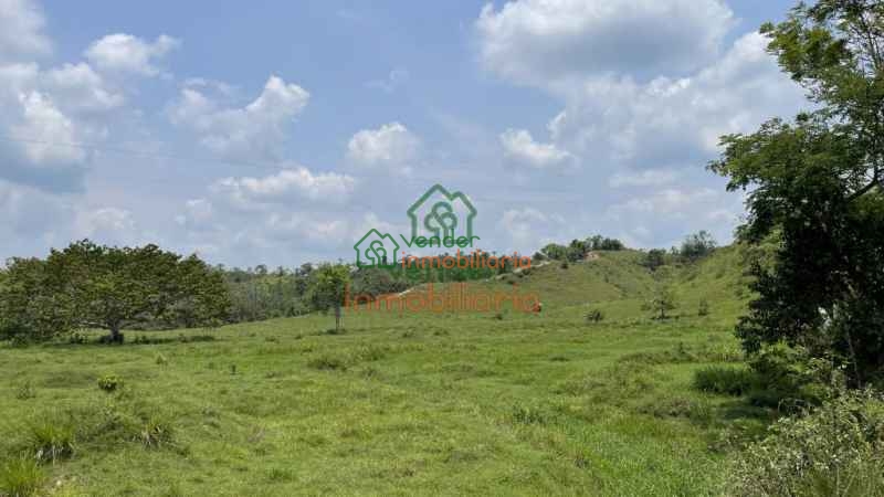 FINCA GANADERA EN VENTA SABANA DE TORRES