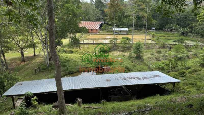 FINCA GANADERA EN VENTA SABANA DE TORRES
