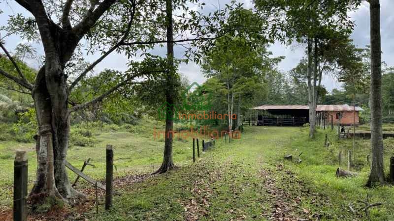 FINCA GANADERA EN VENTA SABANA DE TORRES