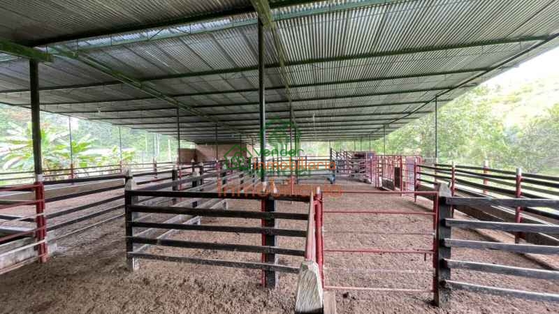 FINCA GANADERA EN VENTA SABANA DE TORRES