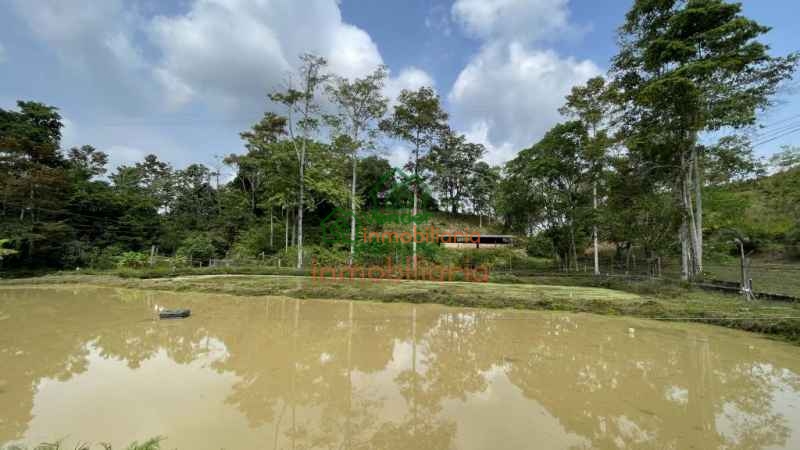 FINCA GANADERA EN VENTA SABANA DE TORRES