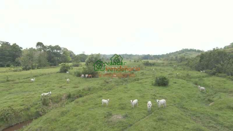 FINCA GANADERA EN VENTA SABANA DE TORRES