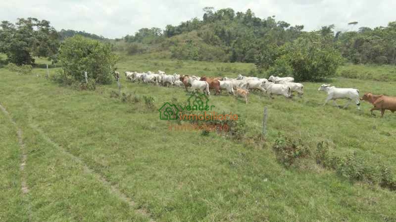 FINCA GANADERA EN VENTA SABANA DE TORRES