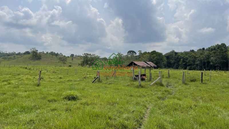 FINCA GANADERA EN VENTA SABANA DE TORRES